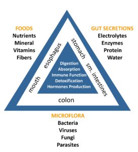 microecology realtionships