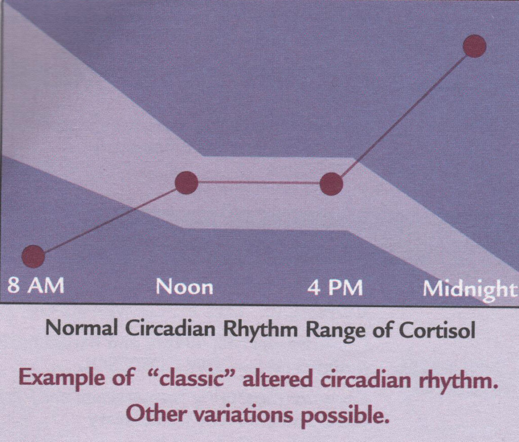 adrenal stress test chart