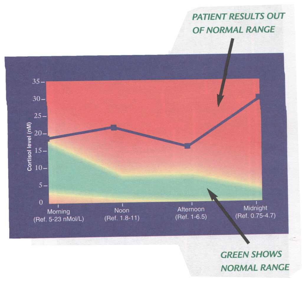 adrenal stress test and organ health