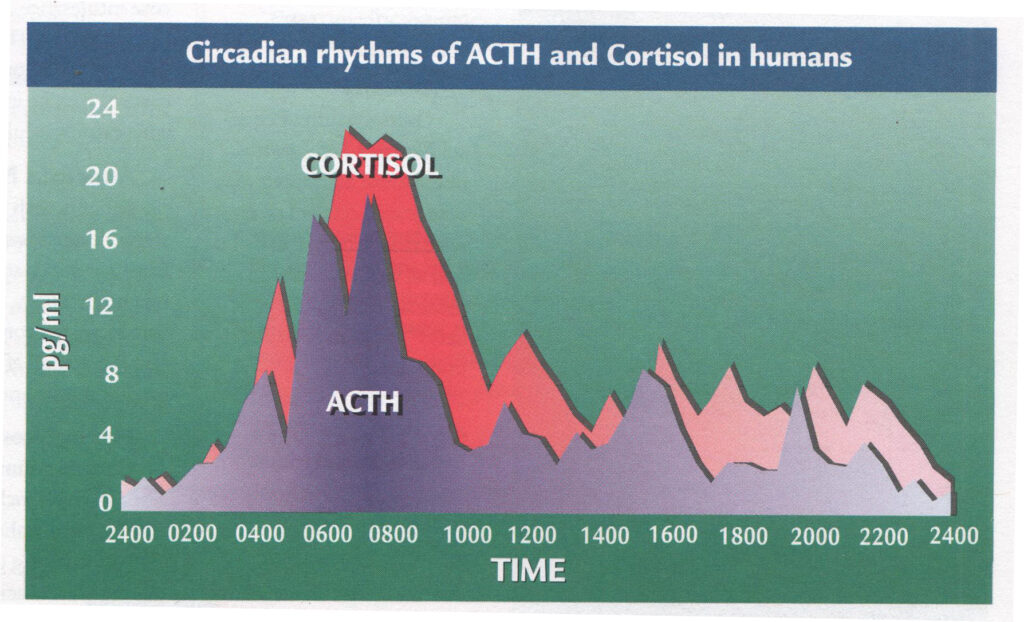 adrenal stress test graft