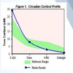 adrenal stress index test normal