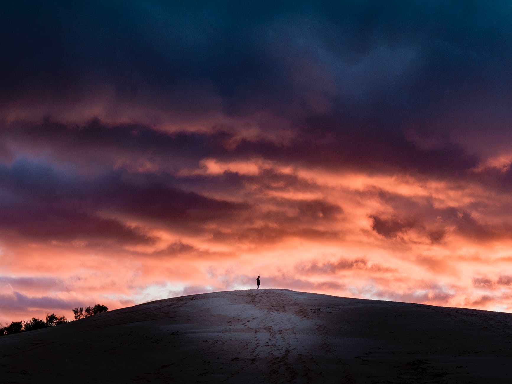 Medicine Through Nature person on top of a hill