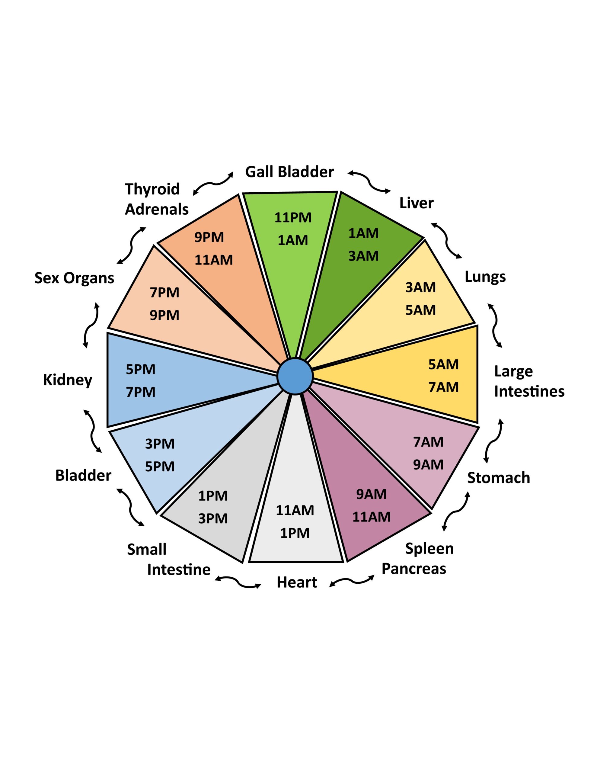 physicals observation functional medicine meridian time clock