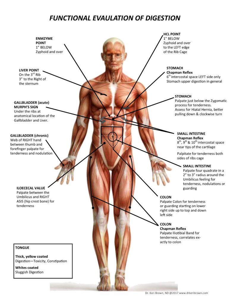 functional medicine chapman reflexes