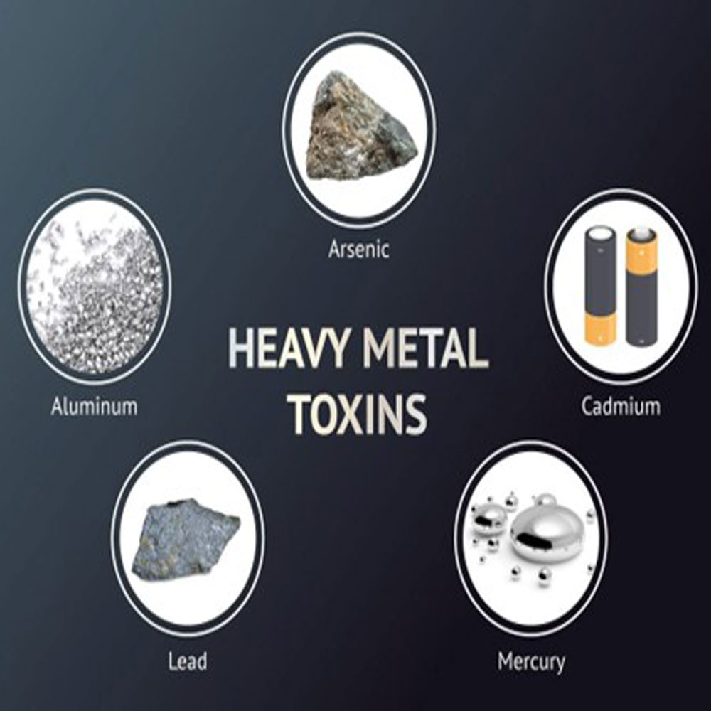 heavy metals and essential minerals testing