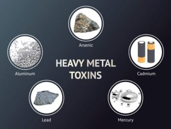 heavy metals lab and hair mineral test assessment photo