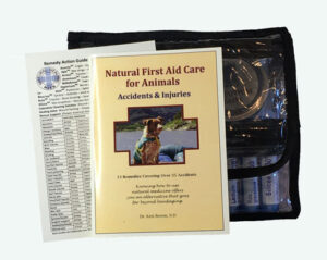 Natural First Aid Kit for Animals book