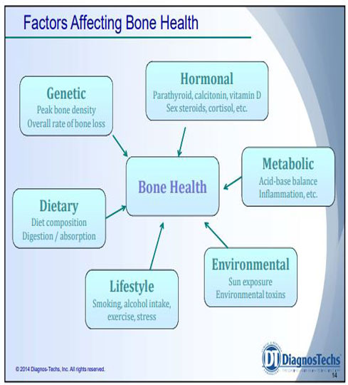 bone health panel test on factors