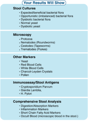 Comprehensive GI Stool Test and Coaching - Image 4