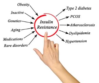 insulin resistance 